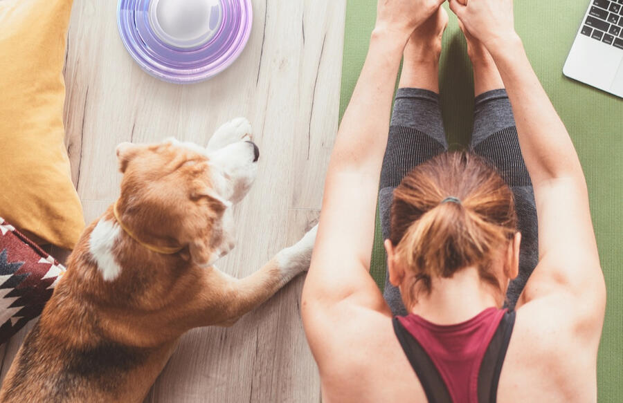 Mom and dog at home with somavedic device doing yoga